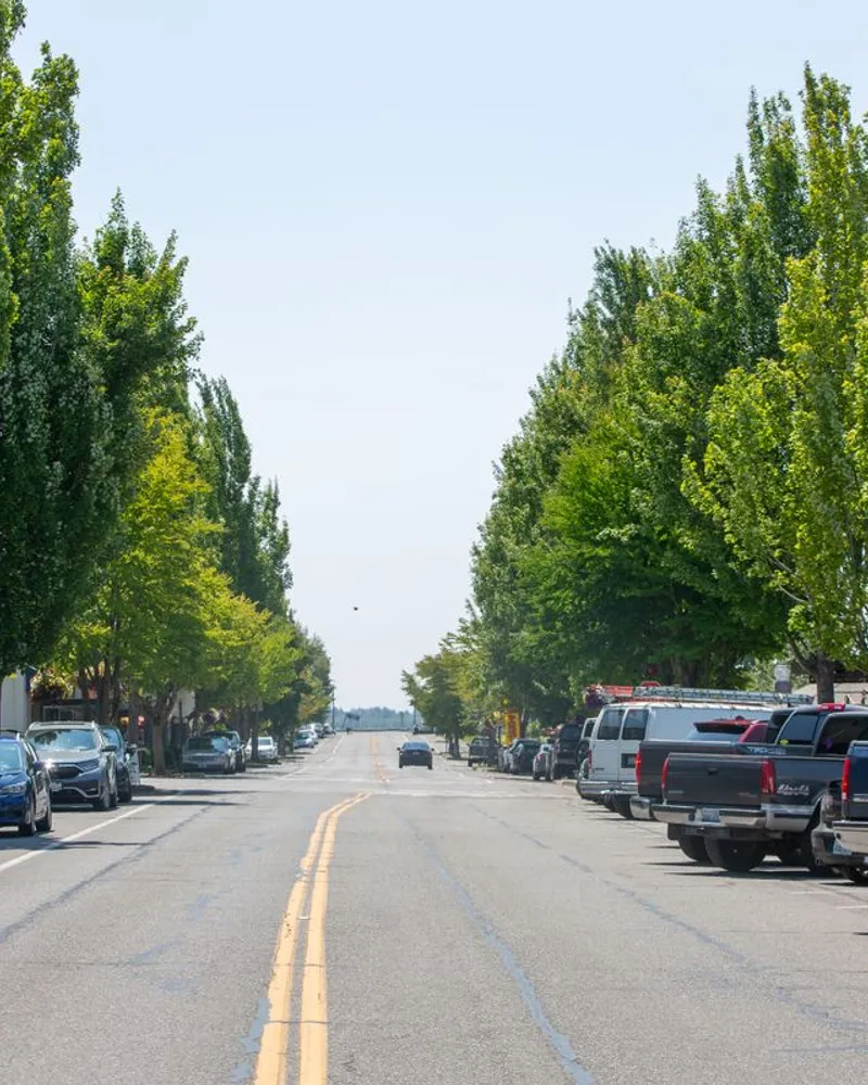 Tree-lined street with parked vehicles and low-rise buildings
